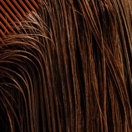 Men's Signature Pass at Gina’s Hair Room in Haltom City, TX